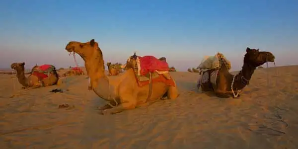 Khuri Sand Dunes Jaisalmer