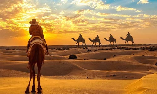 Jaipur Heritage Tour Package